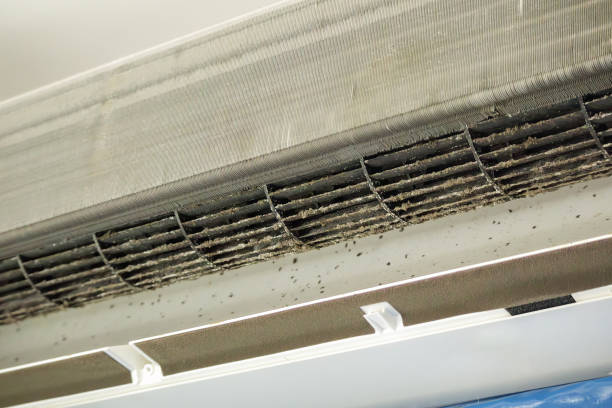 Best HVAC System Cleaning in Barneveld, WI